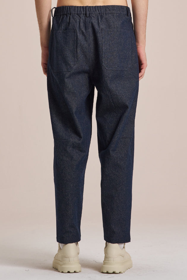 Carrot Fit Pleated Denim Pants